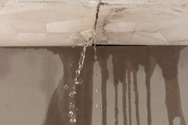 Professional Structural Drying technician working in Perkiomenville, PA
